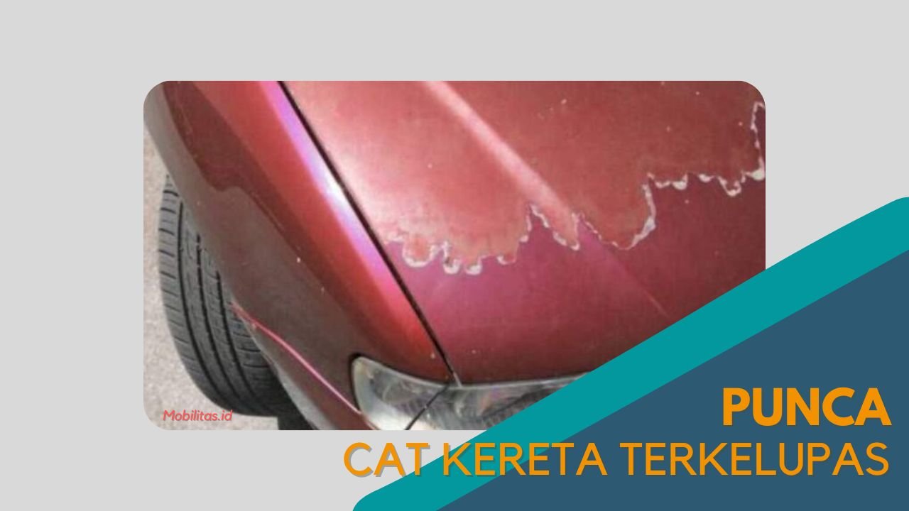 imej Cover Punca Cat Kereta Terkelupas Cover Punca Cat Kereta Terkelupas