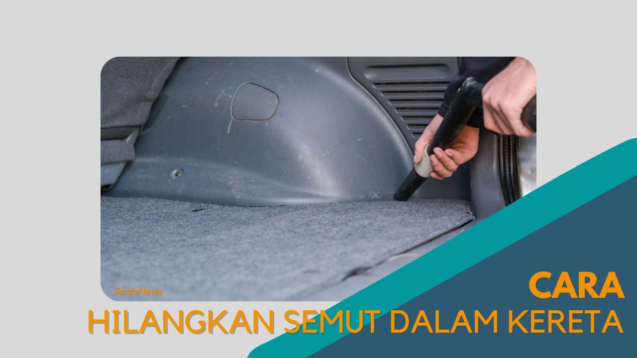 Cover Cara Hilangkan Semut Dalam Kereta